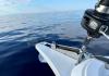 Bavaria C42 2023 noleggio barca a vela