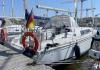 Oceanis 35.1 2021 noleggio 