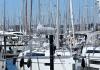 Bavaria Cruiser 37 2018  affitto barca a vela Germania