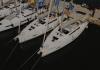 Dufour 430 2023 noleggio 
