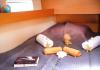 Sun Odyssey 490 2022  noleggio barca Athens