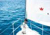 Sun Odyssey 490 2022 noleggio 